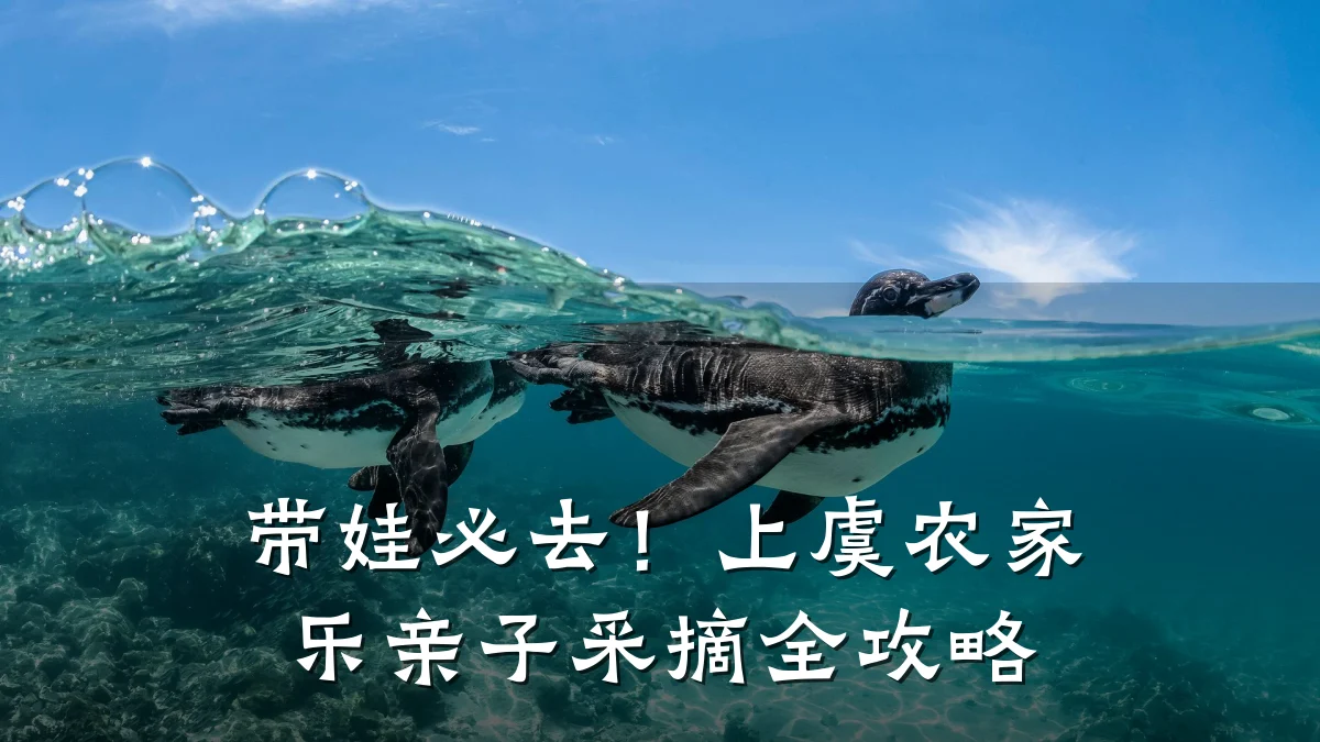 带娃必去!上虞农家乐亲子采摘全攻略
