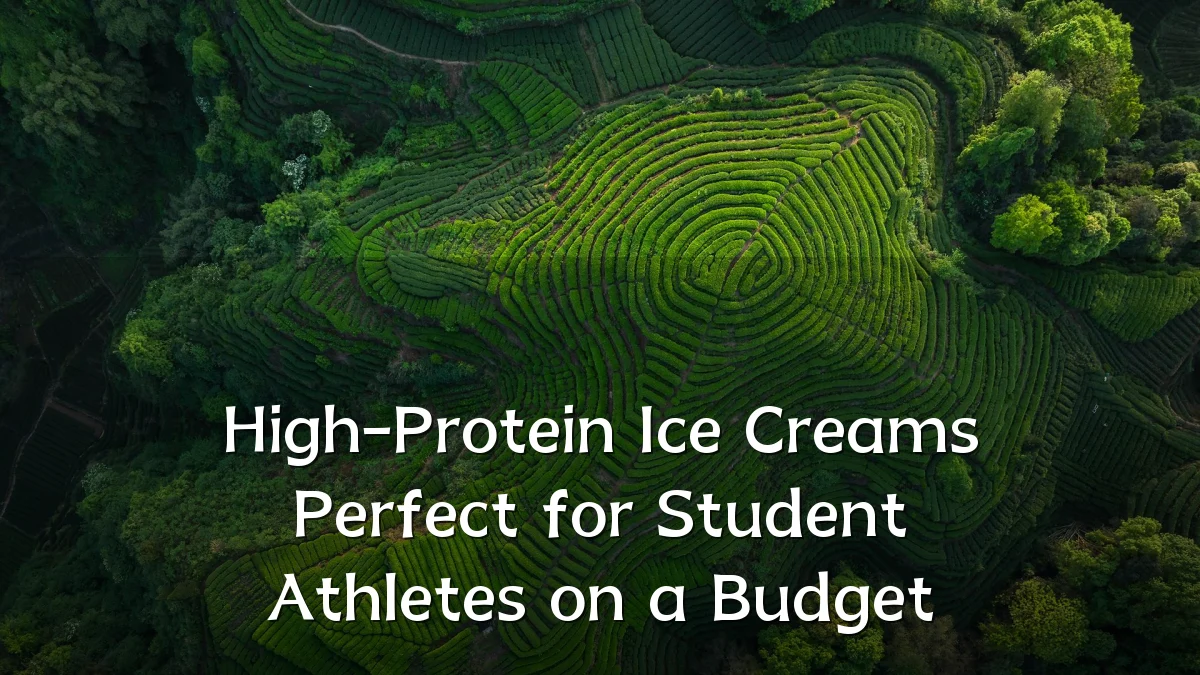 High-Protein Ice Creams Perfect for Student Athletes on a Budget