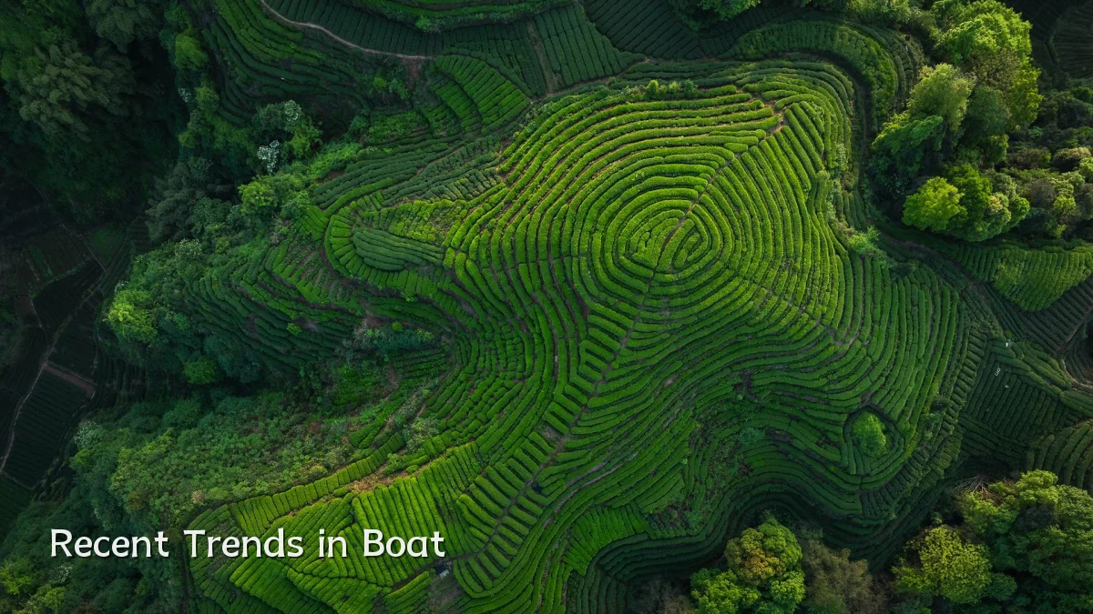 Recent Trends in Boat