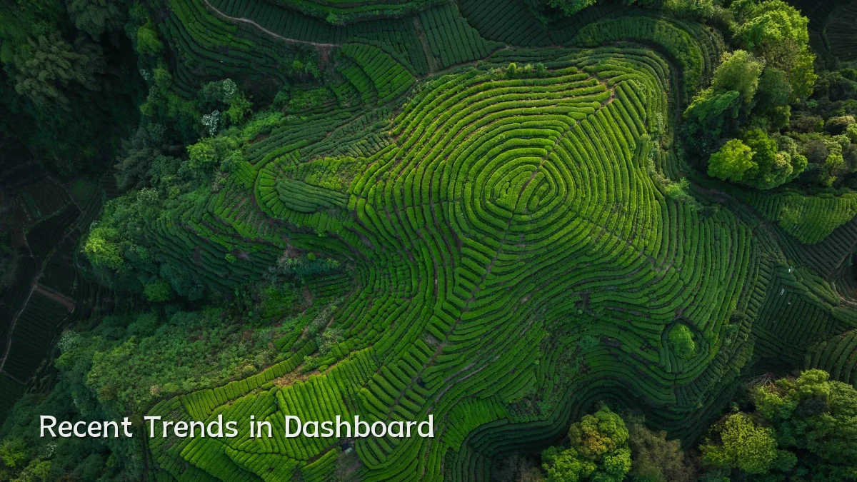 Recent Trends in Dashboard