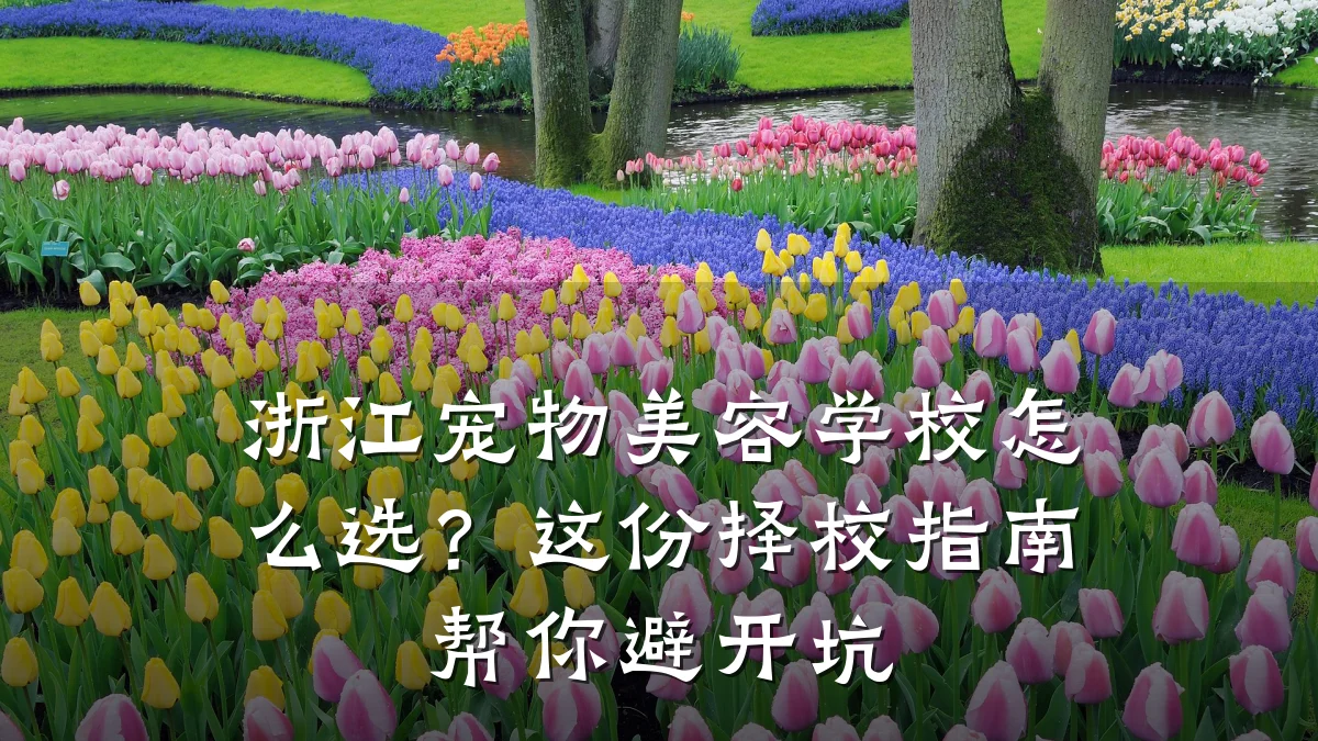 浙江宠物美容学校怎么选？这份择校指南帮你避开坑