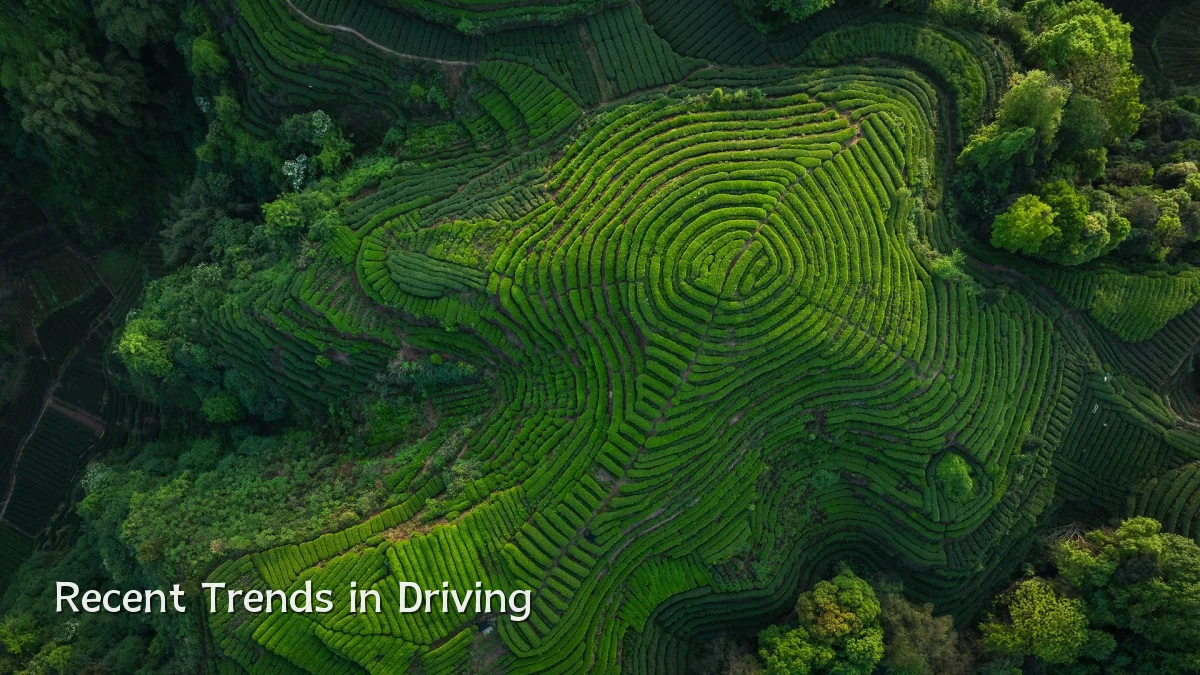 Recent Trends in Driving