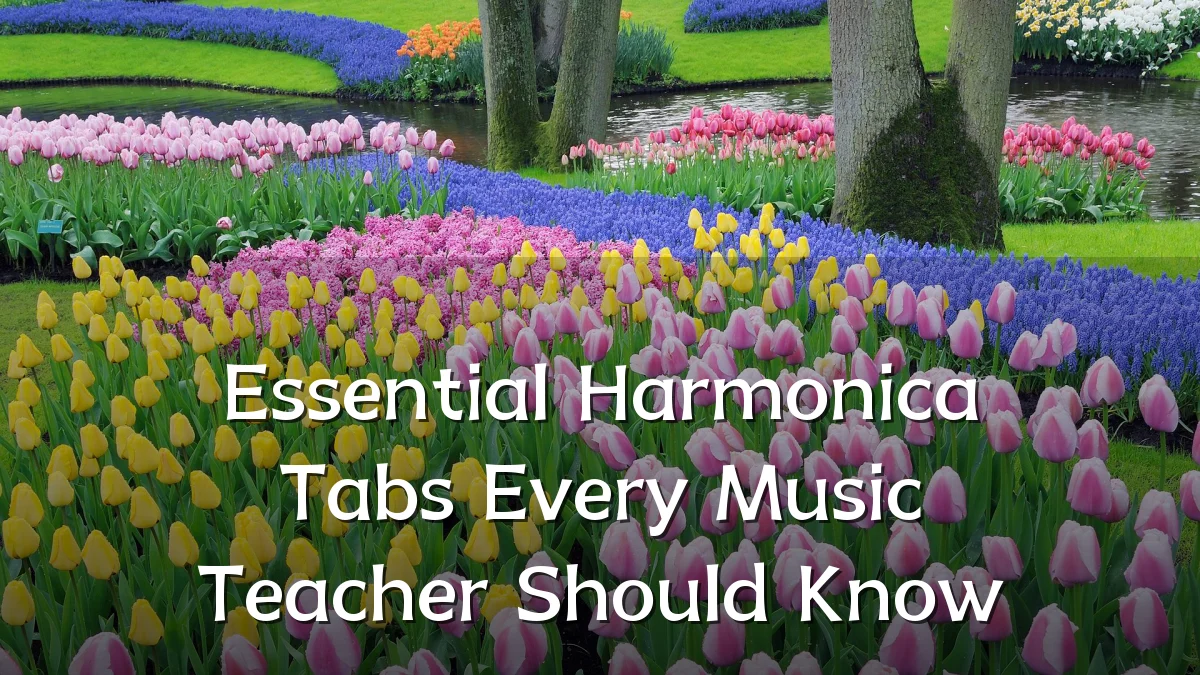 Essential Harmonica Tabs Every Music Teacher Should Know