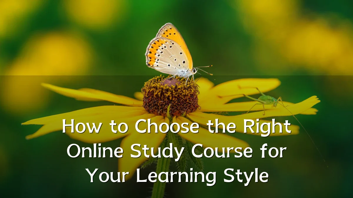 How to Choose the Right Online Study Course for Your Learning Style