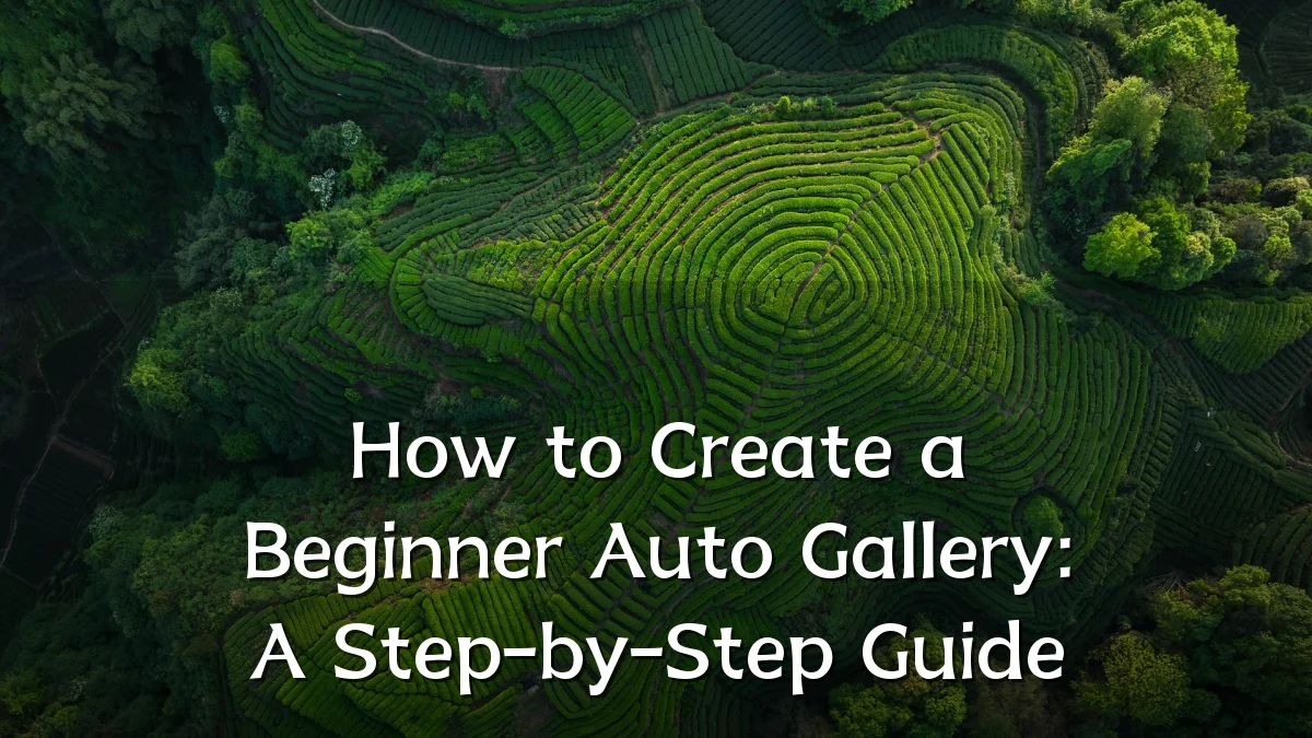 How to Create a Beginner Auto Gallery: A Step-by-Step Guide