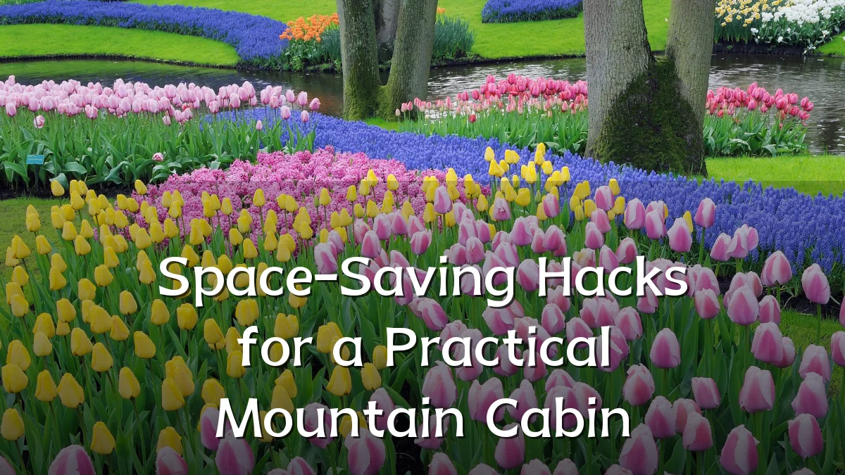 Space-Saving Hacks for a Practical Mountain Cabin