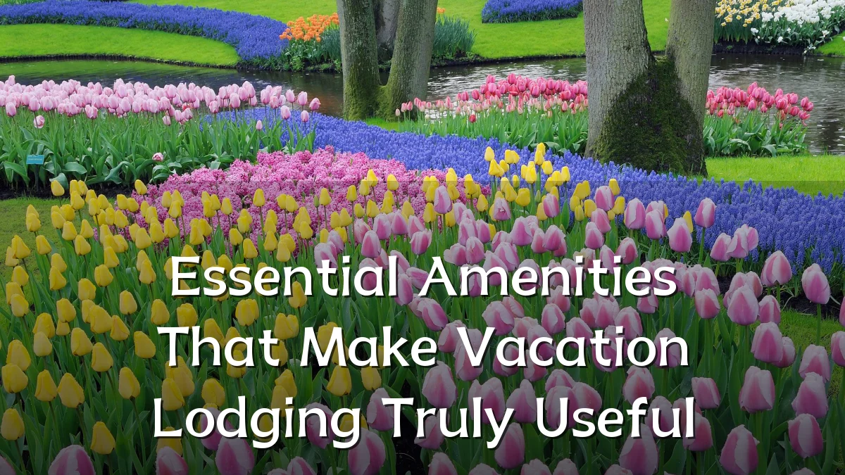 Essential Amenities That Make Vacation Lodging Truly Useful