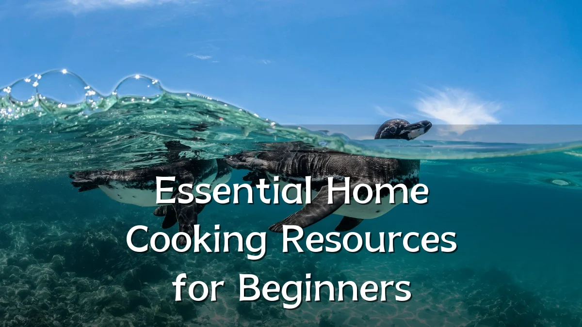 Essential Home Cooking Resources for Beginners