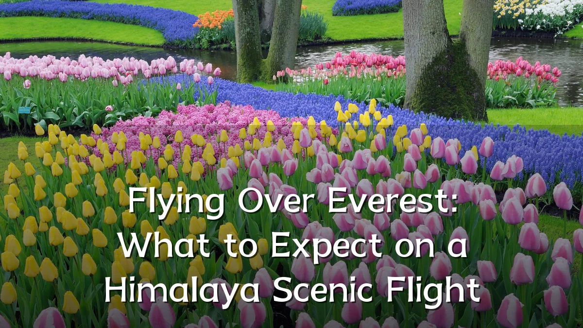 Flying Over Everest: What to Expect on a Himalaya Scenic Flight