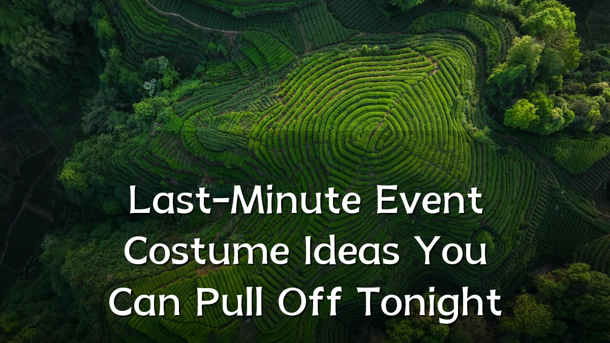 Last-Minute Event Costume Ideas You Can Pull Off Tonight