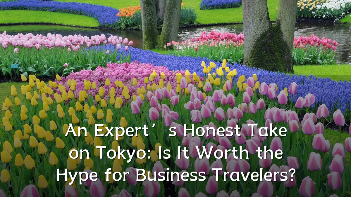 An Expert’s Honest Take on Tokyo: Is It Worth the Hype for Business Travelers?