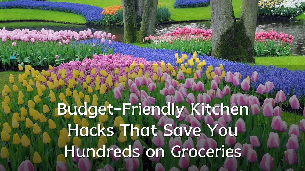 Budget-Friendly Kitchen Hacks That Save You Hundreds on Groceries