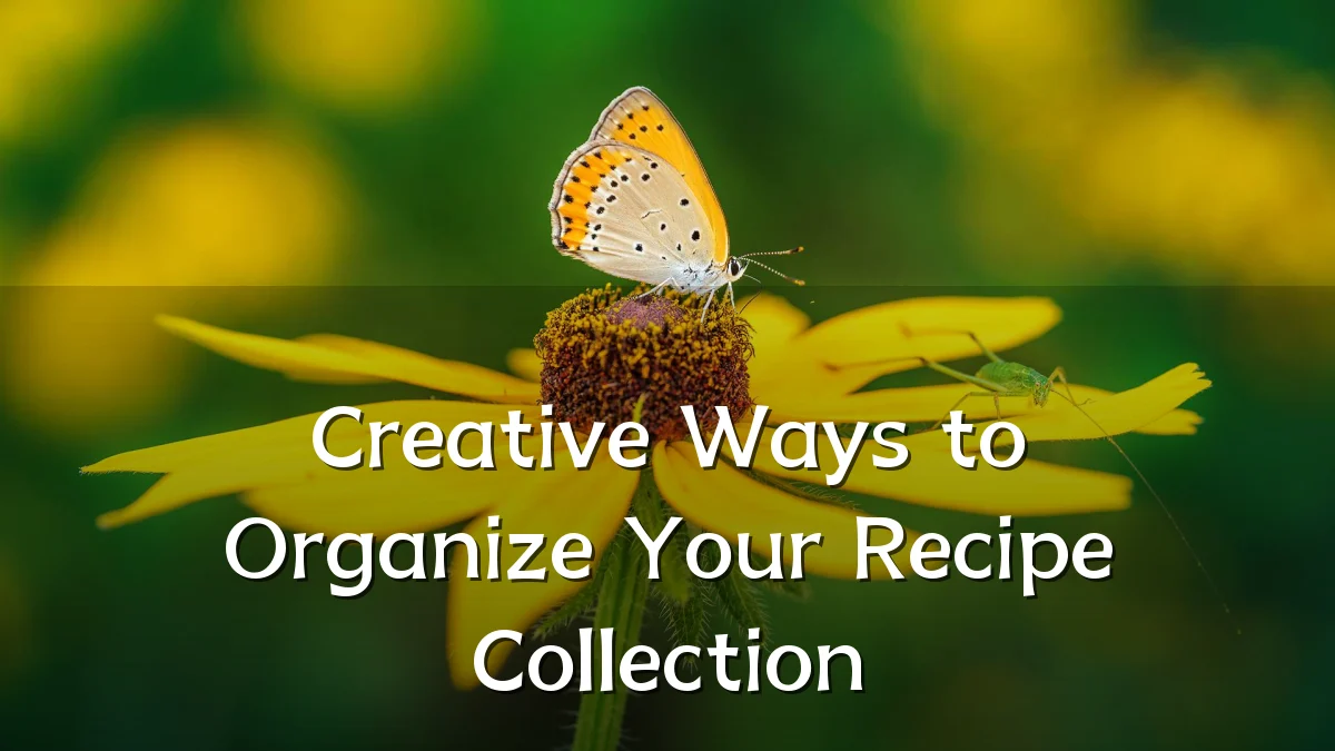 Creative Ways to Organize Your Recipe Collection