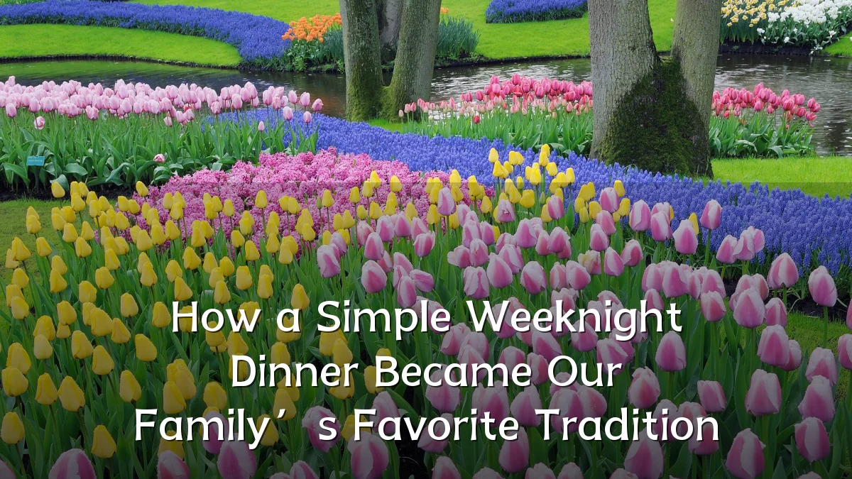 How a Simple Weeknight Dinner Became Our Family’s Favorite Tradition