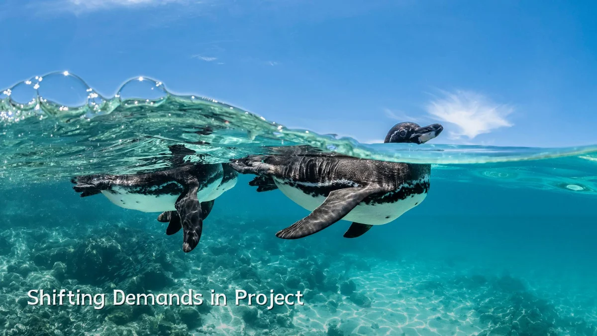 Shifting Demands in Project