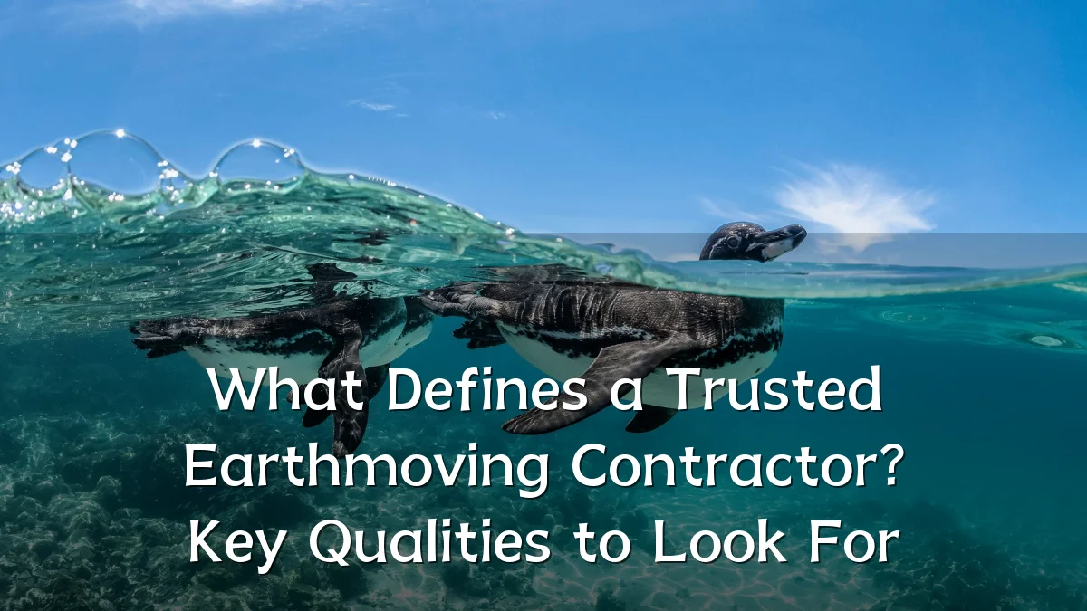What Defines a Trusted Earthmoving Contractor? Key Qualities to Look For
