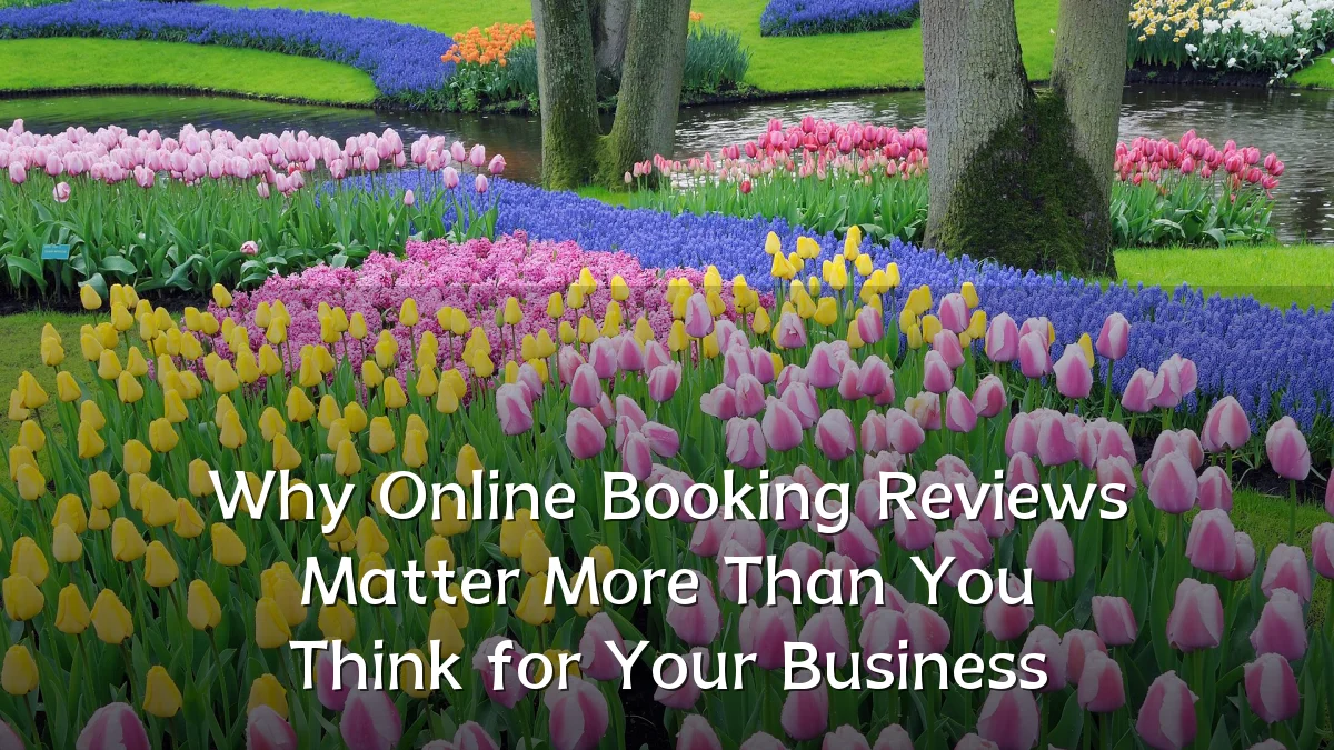 Why Online Booking Reviews Matter More Than You Think for Your Business