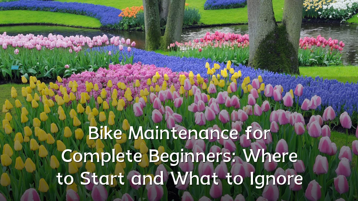 Bike Maintenance for Complete Beginners: Where to Start and What to Ignore