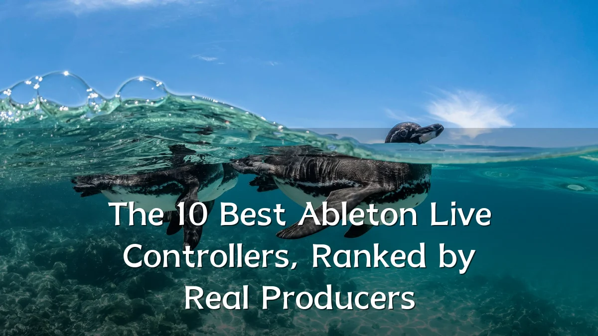 The 10 Best Ableton Live Controllers, Ranked by Real Producers